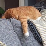 <b>우우</b>래