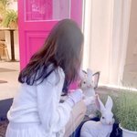 [드루와] 나 <b>프아짓</b> 했을때 ㅋㅋ..