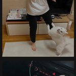얼마전 이슈됐던 미<b>성년</b>자 부부유튜버