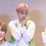 [NCT즌] 담주에 올 앨범들