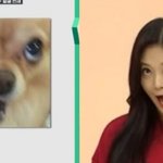 왜 4등급을 <b>노</b><b>베라</b> 하는거임