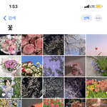 사진정리하다 <b>세훈</b> 공주 발견