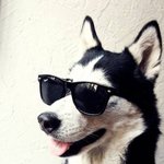 [아이콘] 하나 장만하고 싶은 (<b>눈부심</b> 주의)