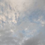 지금부터 <b>엠</b>비티아이 내신 <b>글</b> 금지