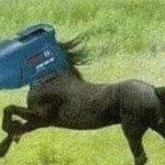 [드루와] <b>저</b>.. 드릴 <b>말</b>이 있는데
