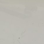 [19] 얘 무슨 <b>벌레</b>임?
