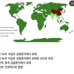 [19] 야 나 꿈에서 <b>야스</b>하는 꿈꿈