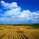 구절강해(막4 20, 유튜브교회 #활공교회)