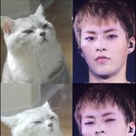 [EXO] 냐<b>옹아</b>