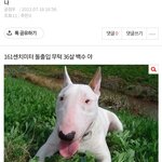 얘?