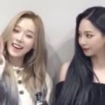 [드루와] 덥뮤다 <b>타팬</b>이 봐도 잘생김?