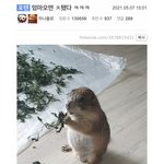 상대방이 남자면 걍 설레는 애 잇냐??