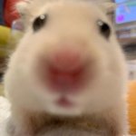 [NCT즌] <b>암</b>더뵤