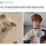 [NCT즌] 진짜 얼굴 두개 <b>수준</b> 아니냐