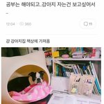[드루와] 나 학교에서 왕따인데 이번 백신 너무 걱정돼