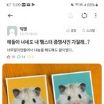 중2때가 <b>젤리</b>즈임?