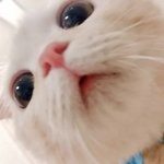 웹툰 이름 좀 알ㄹ려줘!!!!!
