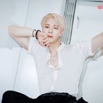 중이었는데 금손 로하가 포삽으로 옷 <b>무늬</b> 다 지워줌ㅋㅋㅋㅋㅋㅋㅋ