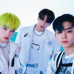추억플을 틈타 이재현 들튀