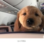 얘들아 제발 이 <b>모솔</b>판<b>녀</b>좀 도와줘라