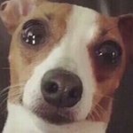 ㅅㅂ <b>이무진</b> 여친이 있다고..?