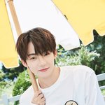 [트레저] 마녀<b>공장</b> 횽아라인