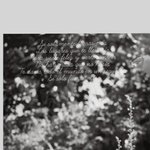 경수 앨범 <b>사양</b> 속 글