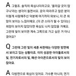 <b>세훈이</b> 진짜 많이 컸다..