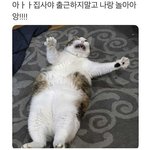 [드루와] 잇<b>팁들</b>아