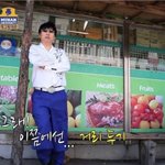 [댓글부탁해] 유튜브에 나와있는 고양이.강아지 영상들