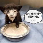 판매자 <b>배송</b> 안 해준 거 같아..