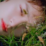 [더보이즈] 주연이 프로필 <b>필름</b>