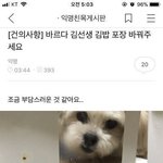 아니 백신 맞은 곳 갑자기 개아픔