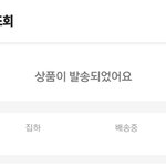 배송<b>조회</b> 해봤는데 이거면 오늘안에 올 수있어?