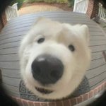 [댓글부탁해] 플래너는 <b>당일날</b> 씀?