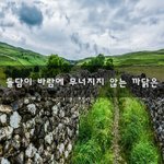[힘이되줄게] 돌담이 바람에 무너지지 않는 까닭은~