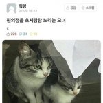 [댓글부탁해] <b>isfp</b>랑 톡할 때