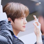 김태희 손예진 이재현