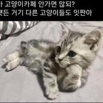 나 정신병원 가야한다 말아야 한다 추반ㄱ