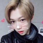 [스키즈] 찐애기 시절 몇 장