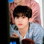 [드루와] 혹시 트레저 박정우랑 세븐틴 <b>디노</b> 아는 사람