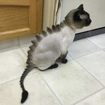 너네 판하면서 <b>멘탈</b> 강해짐??