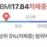 <b>수치상</b> 저체중이면 날씬 정도임?