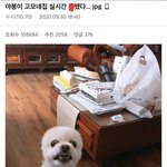 [댓글부탁해] <b>캘빈</b> 불화자