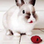 [<b>YG</b>] 이 중에서 하나만