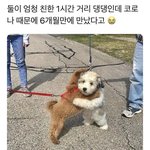 [댓글부탁해] 여드름<b>흉터</b> 어케없앰??