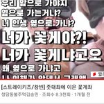 [스키즈] 꽃게좌
