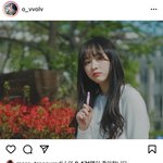 필터나 <b>보정법</b> 비슷한거 ㅊㅊ좀