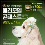 강아지 모델 선발대회 있어욥~
