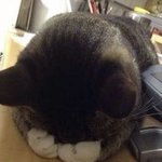 <b>BTS</b> 표절시비로 한국팬 이미지 ㅈ됨